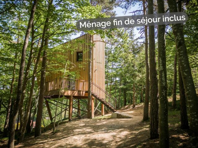 Cabane insolite dans les cevennes - les sous-bois de la bastide