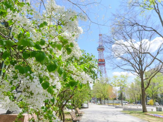 Odysis Sapporo Odori Park Hotel