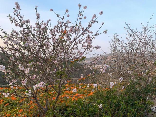 Cortijo Grande