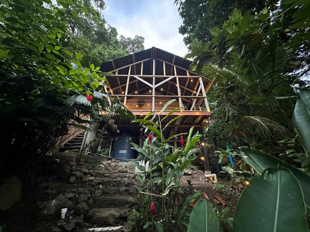 Casa Serenity By The Sea - Tree Frog House