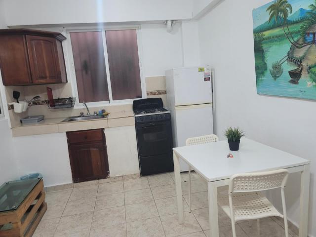 Fantastic apartment 1Rooms zona colonial