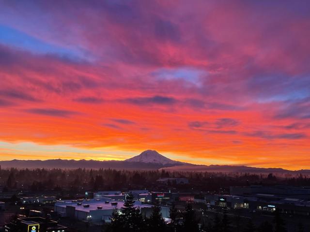 Rainier View Room, 7mins to Dome