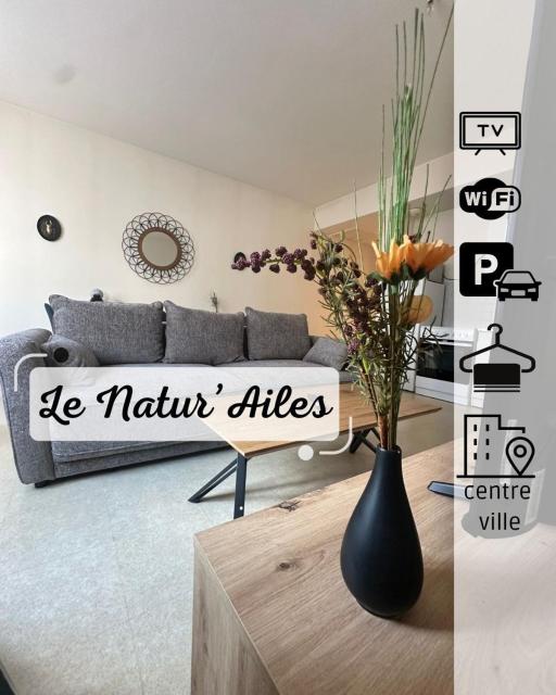 Le Natur'Ailes- appartement entier Free parking avec wifi et Tv orange