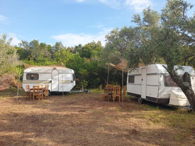 Aquariumi Jale Camping