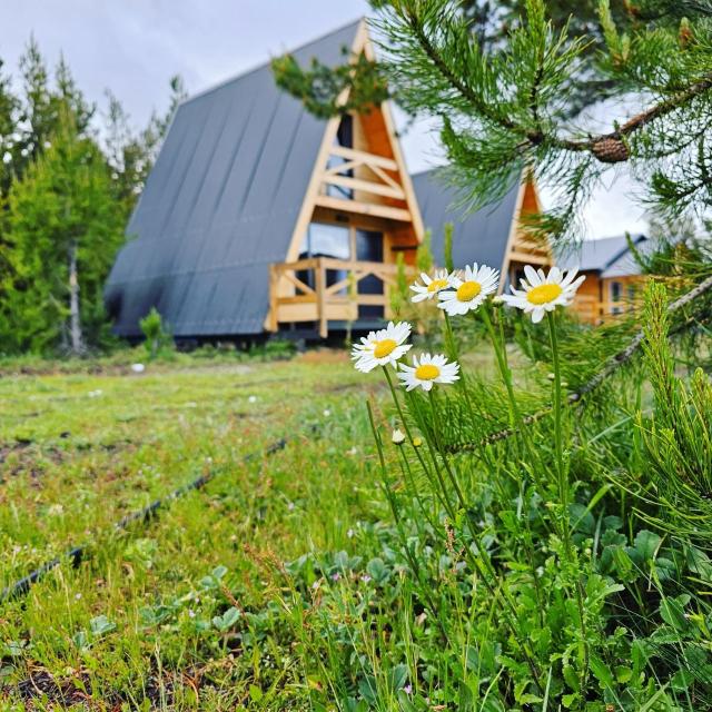 Cabañas Entre Cumbres