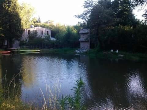 Cabañas Lagos Dos Molinos