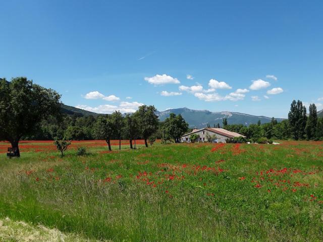 Renovated farm, ferme rénovée