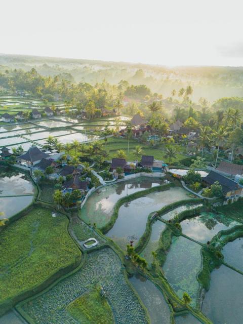 Taksu Villas Ubud