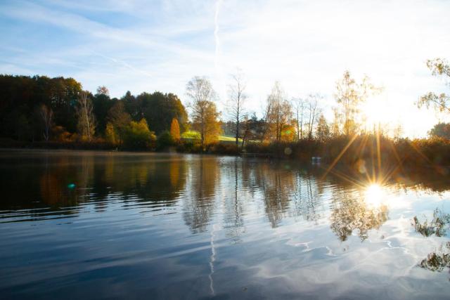 Seehof direkt am See