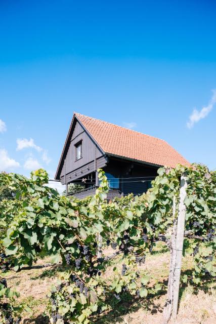 SCHILCHERLANDLEBEN - Weingartenhaus