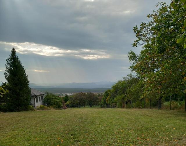 Haus am Waldrand mit Fernblick