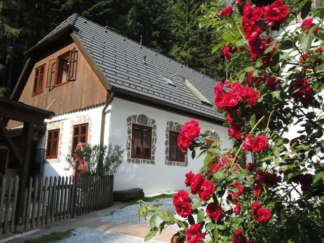 Gillausklause - eine Insel im Wald - Waldviertel