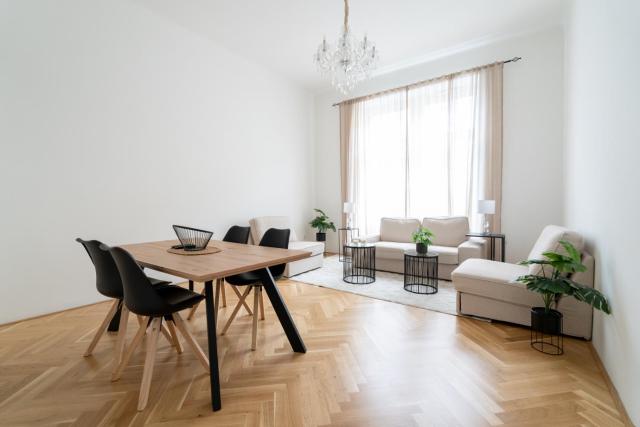 Luxurious Viennese Old Style Apartment