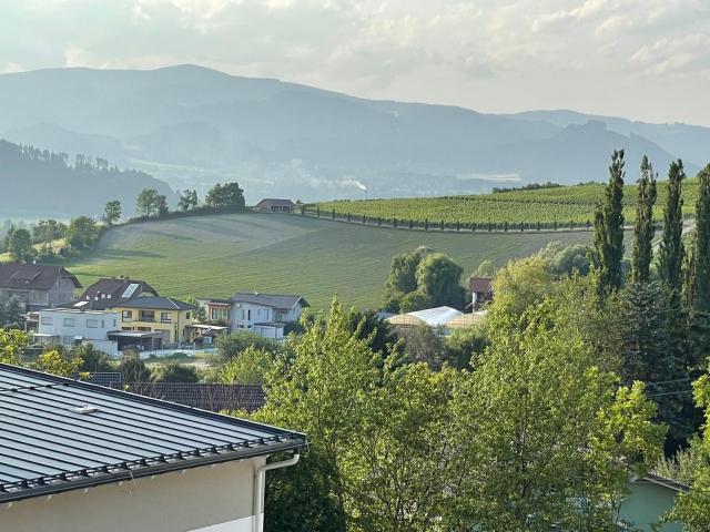 Wohlfühlurlaub in Ferienwohnung mit Badeteich