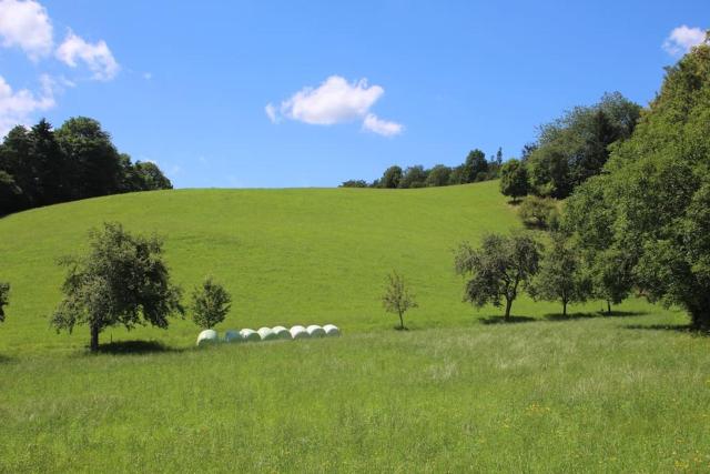 Idyllisches Haus mit Garten und Saunahütte in der Natur