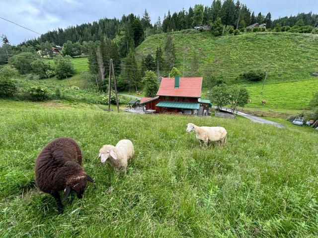 Mein Landhaus I Die Bachklanghütte