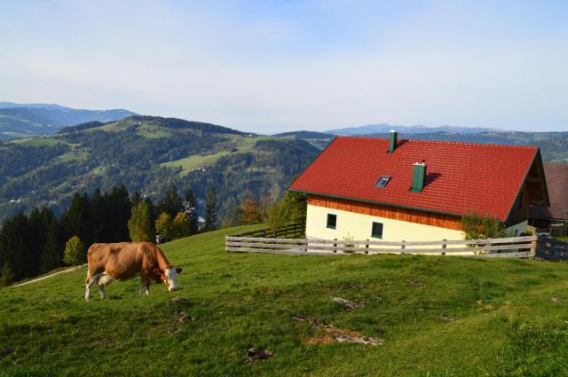 Almferienhaus Russmann