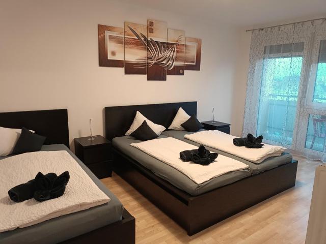 Flataid CityApartment Zentrum-Citypark