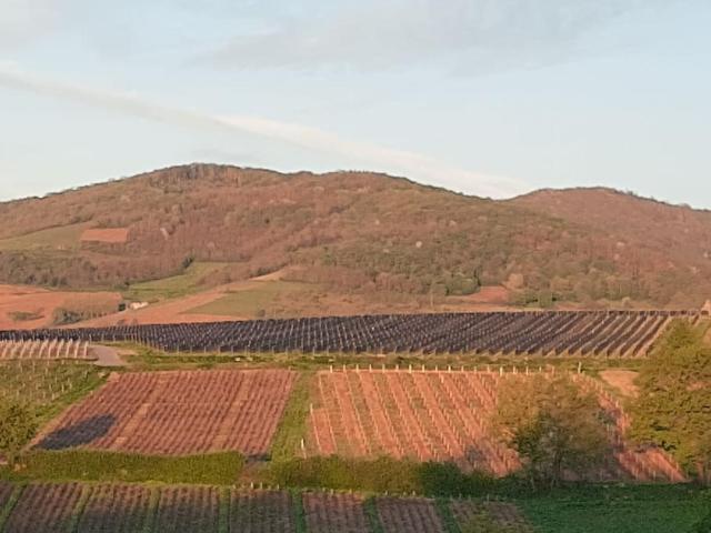 Face aux vignobles - logement indépendant