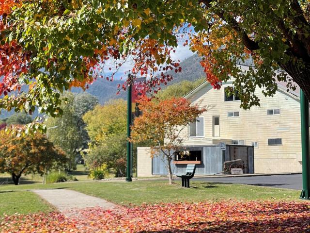 Talbingo Lodge - Selwyn Accommodation