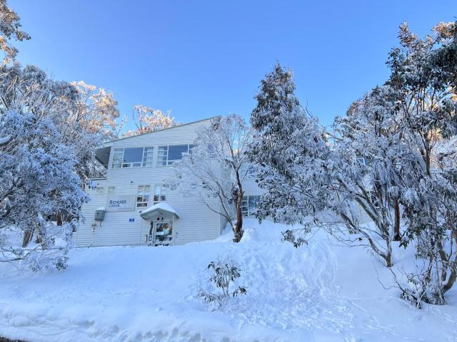 Schuss Alpine Club, Mt Buller