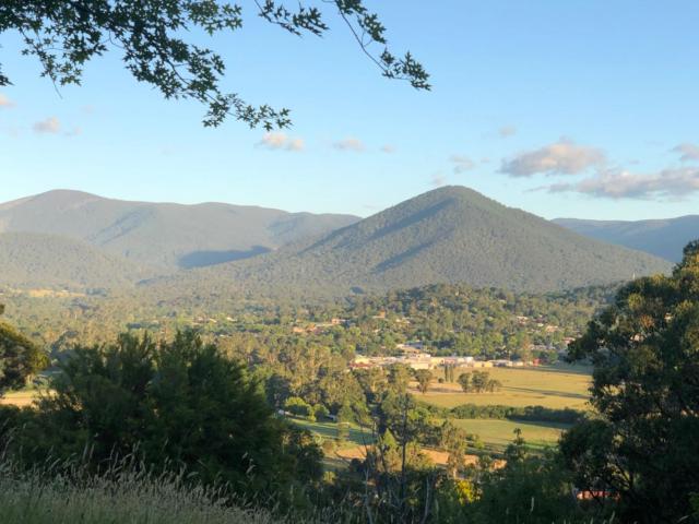 Beauty of Healesville