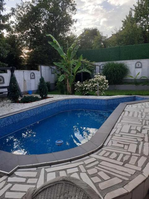 Garden- pool apartman