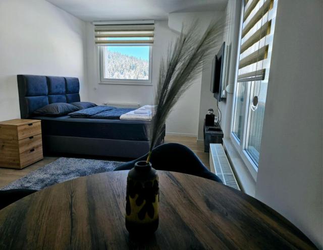 Ski Apartment