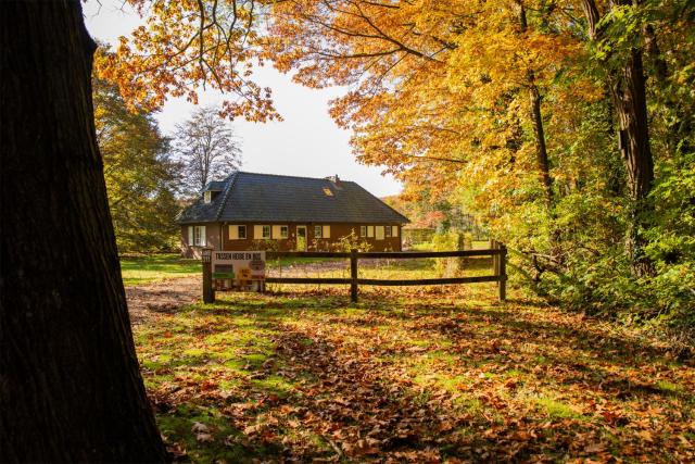 Tussen Heide en Bos