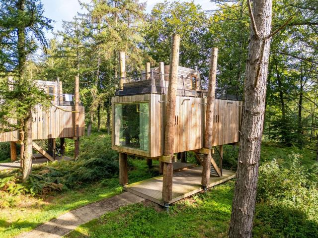 Belvilla Cozy Tree Loft in Forest Bliss