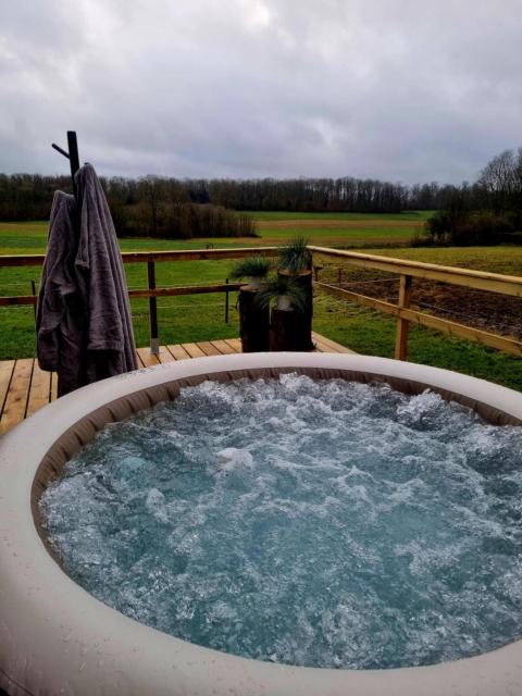 Tiny housse serenity avec jacuzzi