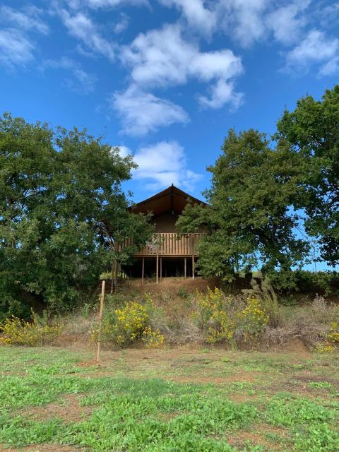 Glamping Podere Angiotto LODGE QUERCIA