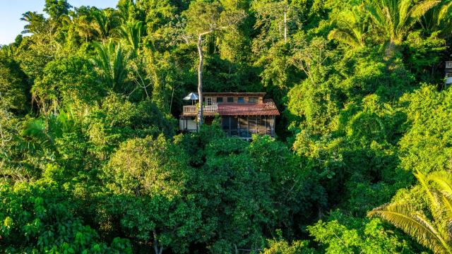 Ian Anderson Caves Branch Jungle Lodge