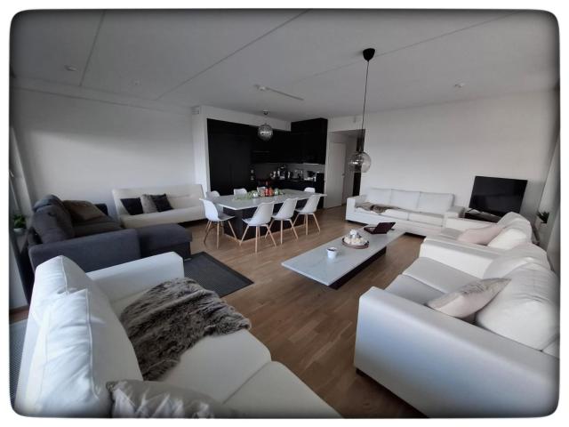 High class living in TAMPERE PENTHOUSE 84 square