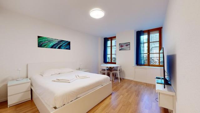 Modern studio in the heart of Geneva