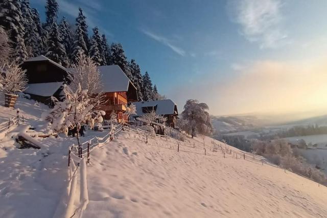 Ferienwohnung in Emmentaler Bauernhaus, Vogelsang