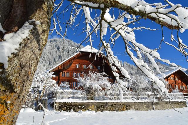 Swiss Mountain-Valley View Lodge