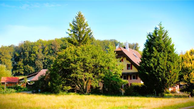 Nisihof, Abendblick