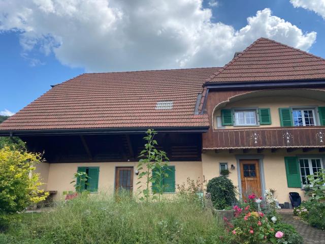 Wohnung in 100 J Bauernhaus