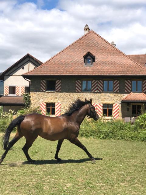 Ferme de Grandchamp