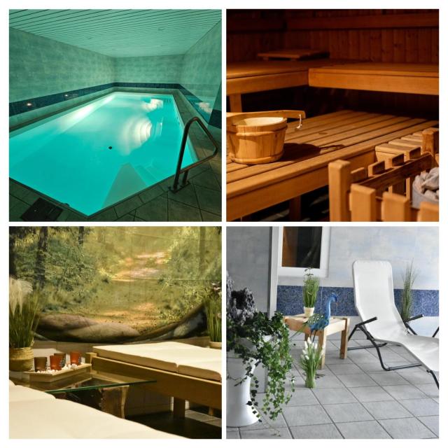 Pool & Sauna Wellness Charming Swiss style chalet!