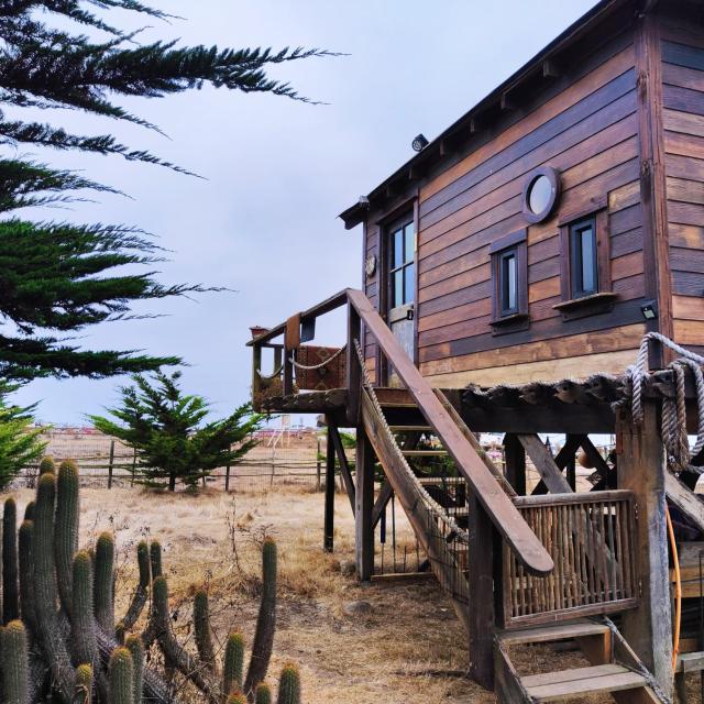 Barco Punta de Lobos