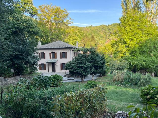 The Cottage in the Trees