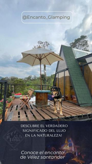 Encanto Glamping