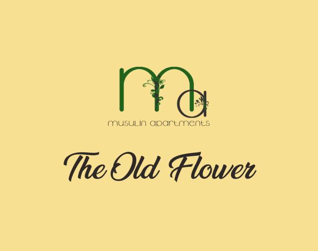 The Old Flower