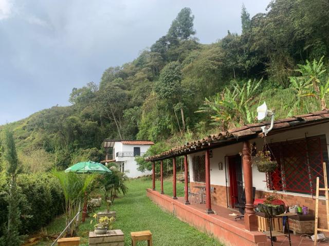 Finca hostal el jardín de D