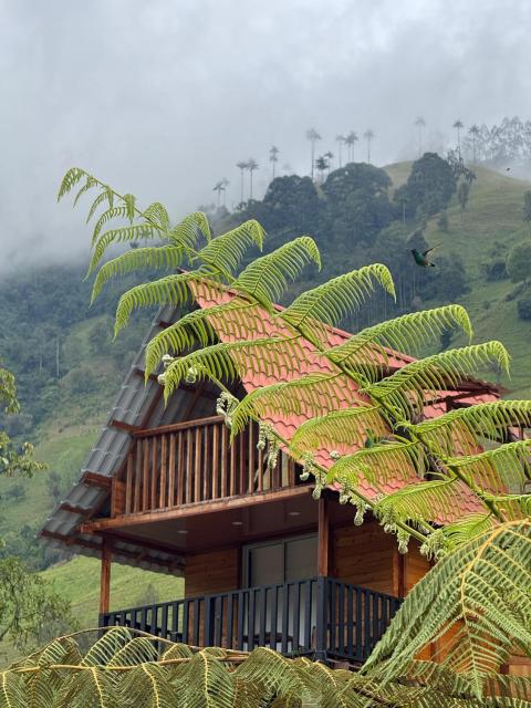 Villacaima - La Martina