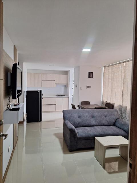 Apartment FL101