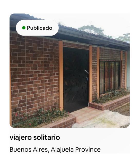 viajero solitario