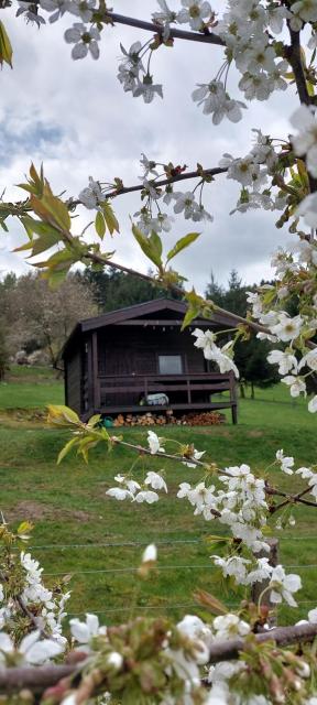 Chata na samotě, Šumava